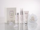 JILL STUART