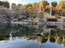 【目白庭園/冬】四季折々の様々な自然や数寄建築など伝統文化を感じられる公園(池袋駅から1駅)