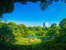 【六義園/夏】六義園のしだれ桜(池袋駅から3駅)