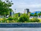 東綾瀬公園で木漏れ日散策を