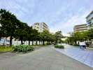 アド街ック天国綾瀬1位の東綾瀬公園の緑に囲まれてリフレッシュ