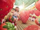 菜園めいろ ポタジェンヌ