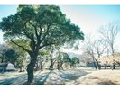 駿府城公園