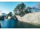 駿府城公園