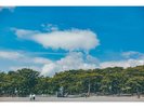 世界遺産 三保の松原