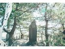 世界遺産 三保の松原