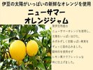 ニューサマーオレンジジャム ※全て一例です。日によってメニューは異なります。数量限定メニューあり※