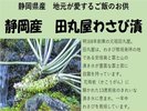 静岡産 田丸屋わさび漬け ※全て一例です。日によってメニューは異なります。数量限定メニューあり※