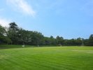高岡古城公園(C)高岡観光ナビ