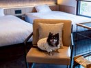【客室イメージ】ペット専用アメニティ完備。愛犬も快適にお過ごしいただけます
