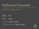 ハリウッドスタンダード