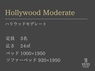 ハリウッドモデレート