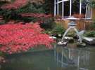 日本庭園【紅葉】