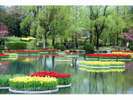 チューリップ公園