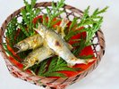 春の特別会席 若鮎の塩焼き