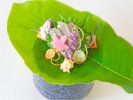 鮎づくし膳 鮎造り