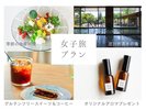 レディースプラン