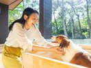 わんちゃん用お風呂