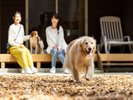 全棟完備のプライベートドッグラン