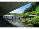 中庭池