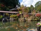 敷地境内