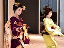 日替わり体験イベント:舞妓演舞鑑賞