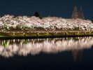 富岩運河環水公園と夜桜ライトアップ