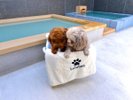 ワンちゃんと一緒に入れるよう、ワンちゃん用のお風呂もご用意しています。