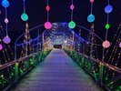 【周辺施設】花の都公園のライトアップ【車で約2分】