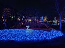 【周辺施設】花の都公園のライトアップ【車で約2分】