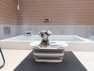 ワンちゃんと一緒に入れるよう、ワンちゃん用のお風呂もご用意しています。