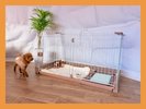 愛犬同伴OK!デラックスグランピングではペットゲージをご用意しています。