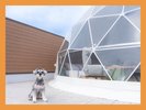 【愛犬同伴OK!デラックスグランピング】ペットと泊まれるグランピングもご用意しています。