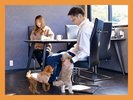【愛犬同伴OK!デラックスグランピング】ペットと泊まれるグランピングもご用意しています。