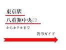 東京駅八重洲中央口から出て八重洲通りへ