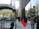 アーティゾン美術館の横を直進