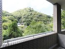 お部屋からの眺め│新緑、紅葉、冠雪と四季の姿を愉しめます