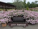 ���Ö�(���z�e����肨�Ԃ�20��)
