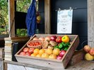 宿泊者様は無料!マルシェでお好きな野菜を選んで、ご自身で調理していただけます。