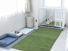 <102室 Dog Friendly Room>