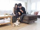 <102室 Dog Friendly Room>