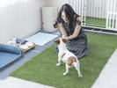 <102室 Dog Friendly Room>