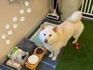 ワンちゃんも安心の滞在♪