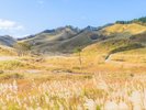 砥峰高原すすき