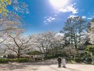 辻川山公園でのロケ撮影
