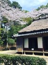 辻川山公園風景