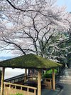 辻川山公園風景