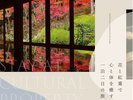 応應寺紅葉