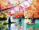 四万湖SUPツアー 紅葉