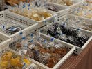 ■お土産コーナー